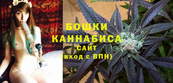гашик Кодинск