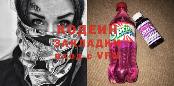 гашик Кодинск