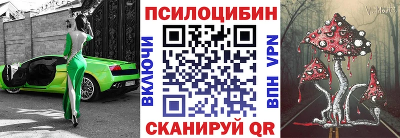 Купить закладки  Тула  Псилоцибиновые грибы мицелий 